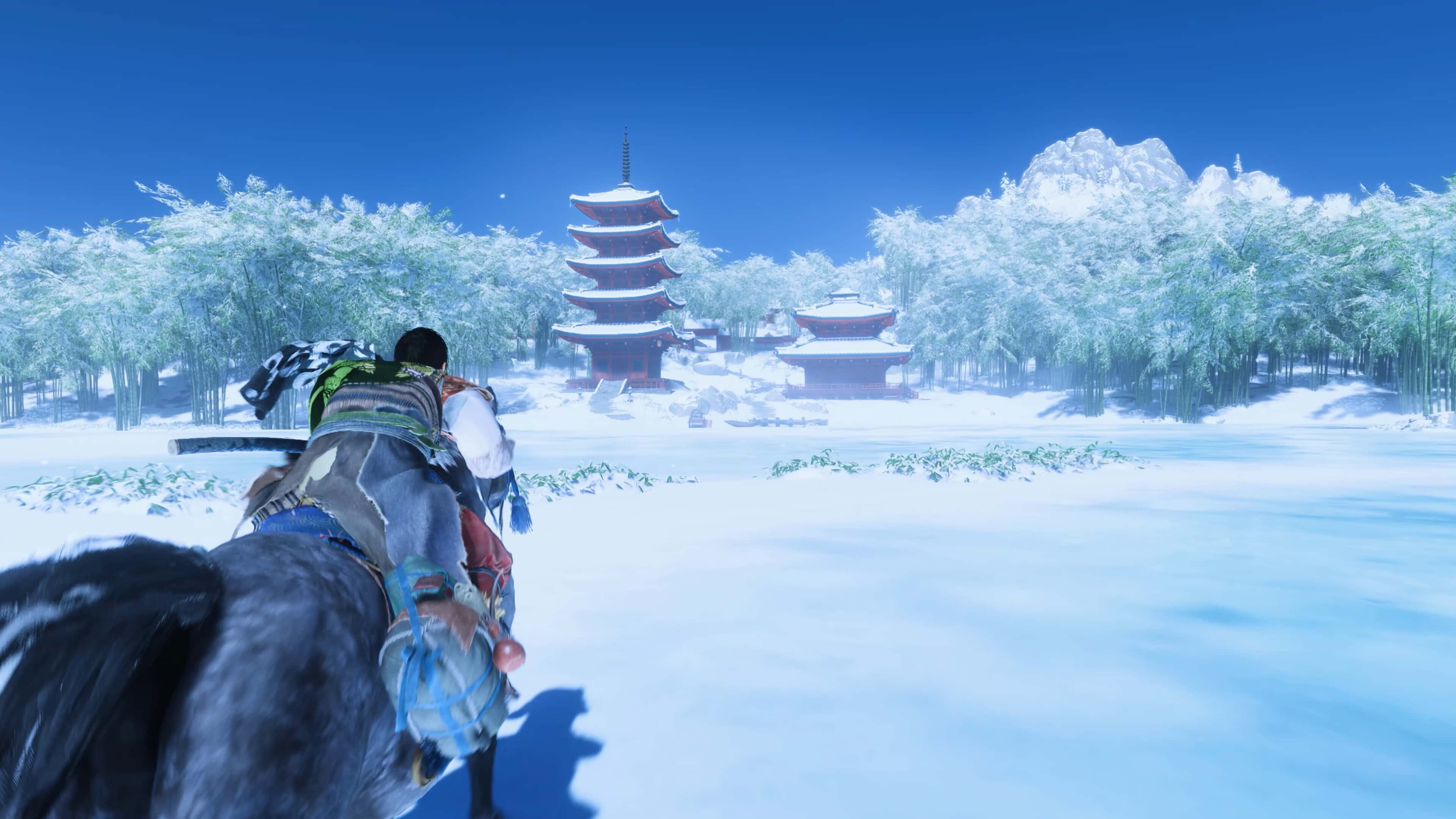 视觉数据5